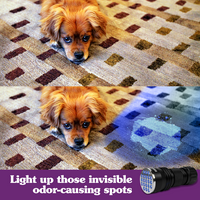 Basit çözüm UV LED idrar dedektörü - ışık