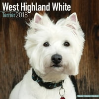West Highland Terrier Takvimi - Köpek Irkı Takvimi - Duvar Takvimi 2017-