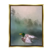 Aptal Yeşilbaş Ördek Yüzme Woodland Göl Hayvanlar ve Böcekler Fotoğraf Altın Şamandıra Çerçeveli sanat Baskı Duvar