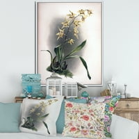 Antik Orkide Çiçek Çerçeveli Resim Tuval Sanat Baskı