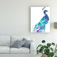 Jennifer Goldberger'in 'Peacock Splash I' Tuval Sanatının Ticari Markası Güzel Sanatlar