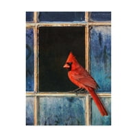 Chris Vest tarafından Marka Güzel Sanatlar 'Kardinal Pencere' Tuval Sanatı