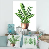 Designart 'Zamioculcas Tropikal Bitki Yeşil Yaprakları İle Beyaz ' Geleneksel Tuval Duvar sanat Baskı
