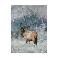 Carol J Rupp'un Güzel Sanatlar Markası 'Frosty Morning Elk' Tuval Sanatı