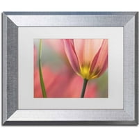 Ticari Marka Güzel Sanatlar 'Tulipa Planifolia' Cora Niele'den Tuval Sanatı, Beyaz Mat, Gümüş Çerçeve