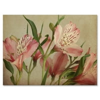 Designart 'Alstroemeria Çiçek Retro ' Geleneksel Tuval Duvar Sanatı Baskı