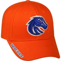 Erkek Boise State Broncos Alt Renkli Şapka