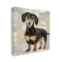 Stupell Industries Dachshund Köpek Portresi Nötr Gri Bej Patchwork Tasarımı Keri Rodgers, 36 36