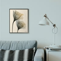 Stupell Industries nötr ışık çiçek fotoğraf siyah çerçeveli sanat baskı duvar sanatı, 24x30