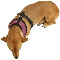 Paws & Pals Pet Kontrol Koşum Köpek ve Kedi için Kolay Yumuşak Yürüyüş Yaka, Mevcut S, L, XL