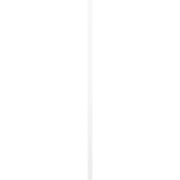 Ekena Millwork 3 4 W 27 H Gerçek Fit PVC, İki Tahta Çerçeveli Tahta-Çıta Panjurlar, Bitmemiş