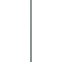 Ekena Millwork 3 4 W 55 H Ömür Boyu Vinil, Standart iki eşit Panel, Yükseltilmiş Panel Kepenkler, w Montaj Kepenkleri-Lok'lar