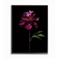 Stupell Industries Çiçek Uzun Saplı Siyah Mor Doğa Fotoğraf Çerçeveli Duvar Sanatı Tasarım Elise Catterall, 11 14